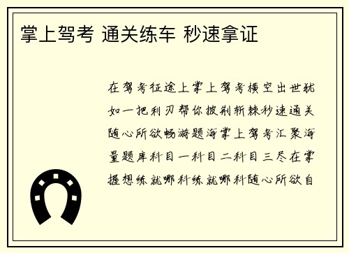 掌上驾考 通关练车 秒速拿证